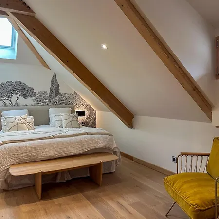 Duplex A 100metres Du Et De La Piste Cyclable D'annecy - Vue Panoramique * Sévrier